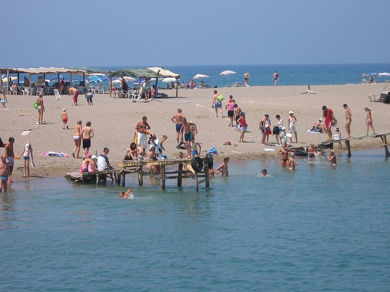 Kızılağaç